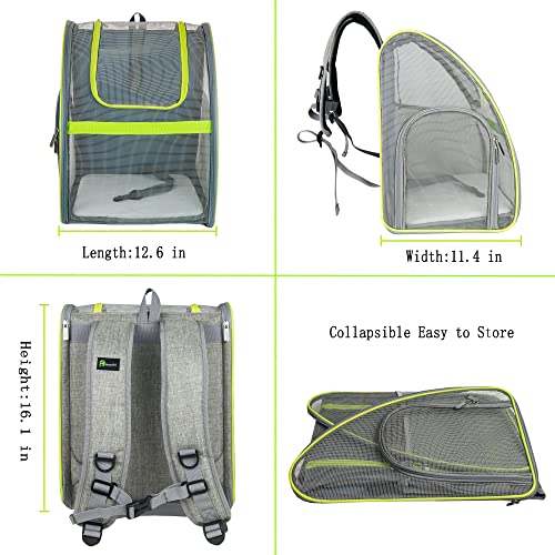 Pet Carrier Backpack, Ventilated and Breathable for Cats Dogs, Collapsible Designed for Travel, Hiking & Outdoor Use Green - color: Green