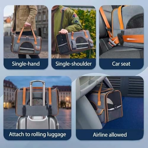 Pesen Large Soft Cat Carrier, 20 x 12 x 11 Inches, Holds Up to 28 lbs
