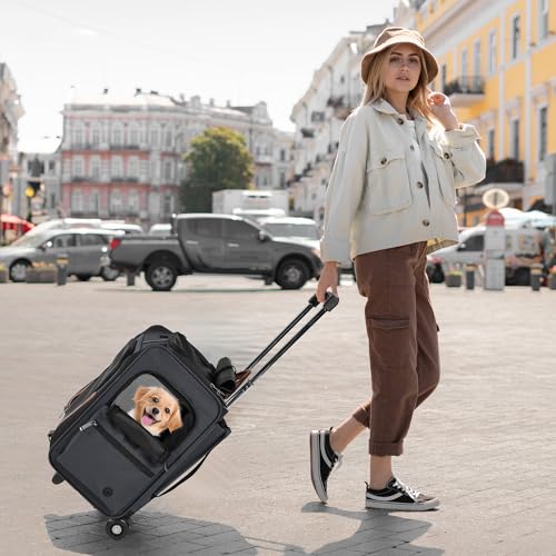 EliteField Deluxe Backpack Pet Carrier (3 Year Warranty, Airline Approved), Travel Soft-Sided Carrier Bag for Dogs, Cats & Small Pets - color: Gray, size: 18.0"L x 13.5"W x 9.0"H