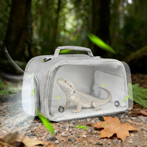 WEVONIGU Expandable Small Animal Backpack Carrier with Clear Bubble Window Large Space Travel Cage for Hedgehog Rat Parrot,Bearded Dragon,Sugar Glider,Airline Approved (Grey, Carrier) - color: Grey, size: Carrier