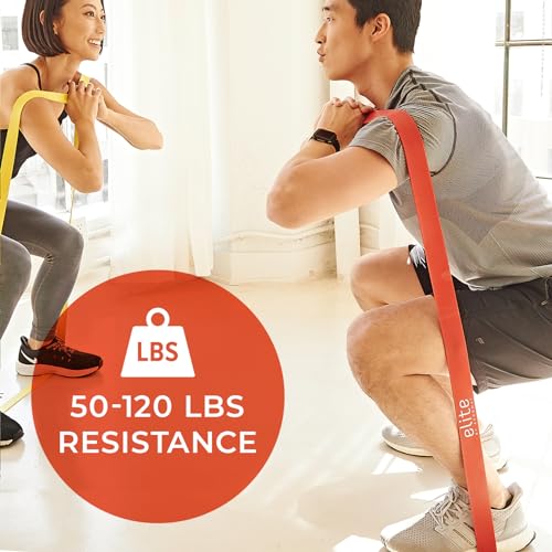 Aeromat Elite Power Band - Long Resistance Bands for Working Out, Pull Up Assistance Bands, Exercise Band, Gym Bands, Workout Bands Resistance for Men & Women - size: 50 - 120lbs