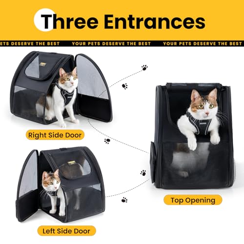 Conlun Cat Backpack Carrier for Small Dogs and Cats Fit Up to 15 Lbs,Small Dog Backpack, Foldable with 3-Side Mesh Windows, Pet Carrier for Travel & Hiking Friendly，Black - color: Black