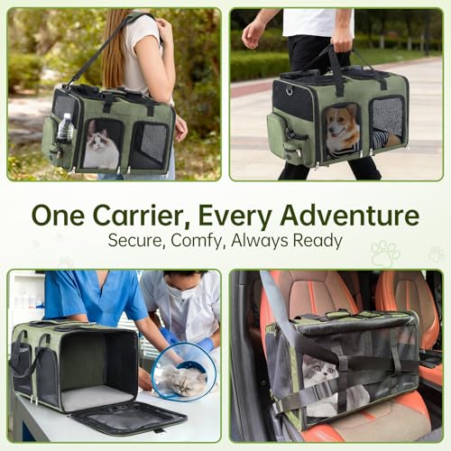 Cat Carrier for 2 Cats - Double Pet Carrier Extra Large, Dual Cabin Multi Cat Travel Carrier with Removable Divider, Collapsible, Can Hold 20 30 40 lbs for Two Small Kitten, Medium Dog Green - color: Green