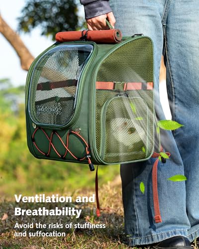 Pecute Small Pet Carrier, Breathable Bearded Dragon Carrier, with Transparent Bubble & Steel Frame, Safety Lock for Hamster, Rabbit, Guinea Pig, Kitten, Puppy, Ideal for Travel/Vet Visits/Camp, Green - color: Green