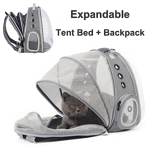 Back Extension Cat Travel Carrier Backpack (Grey, Clear Window) - color: Grey