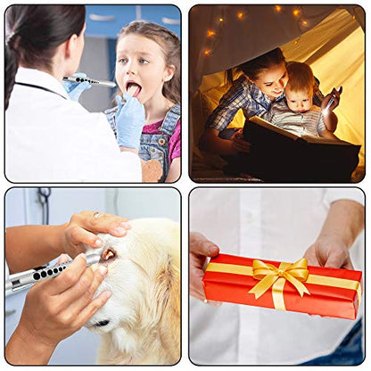 Aokin Medical Pen Light for Nurse Doctor, Reusable LED Medical Penlight Flashlight with Pupil Gauge and Ruler, White Light, Silver - color: Silver