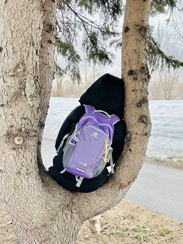 SKYSPER Small Hiking Backpack, 20L Lightweight Travel Backpacks Hiking Daypack for Women Men - color: Lantc20-purple, size: 20l