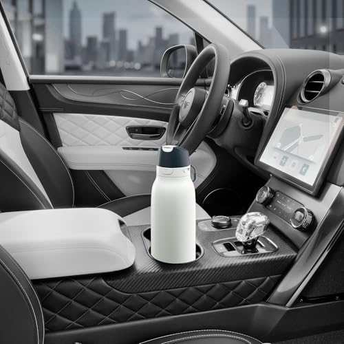 Meoky 24 oz Travel Water Bottle Stainless Steel: Leak Proof Locking Lid, 2-in-1 Straw and Spout, 24 Hours Cold, Top Handle, BPA Free, Slim Insulated Water Bottle for Car Ourdoor, Frost - color: Frost