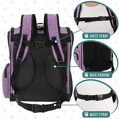 PetAmi Dog Backpack Carrier for Cats and Small Dogs, 4-Way Entry Ventilated Mesh Pet Carrier for Hiking Travel, Foldable Top with Sherpa Bed, Reflective and Poop Bag Dispenser, Up to 18 lbs, Purple - color: Purple