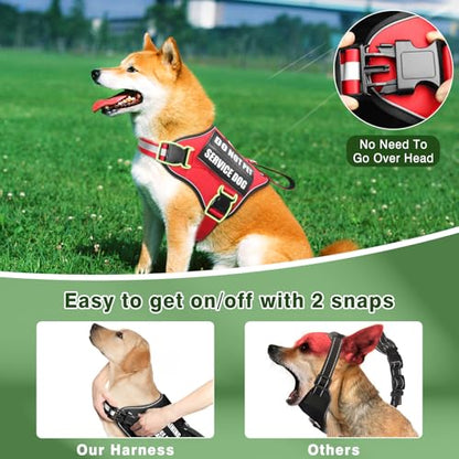 Service Dog Vest Harness and Leash Set+10 Patches,No Pull&Adjustable Reflective Dog Harness with Soft Padded Handle for Training/Everyday,Fit Small/Medium/Large/Extra-Large Dogs(Red M) - color: Red, size: Medium