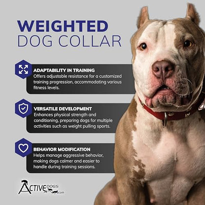 ActiveDogs Weighted Dog Collar for Muscle Building and Tactical Training - Dog Weighted Vest for Exercise - Includes 5x1lb Weights & Sheepskin Padding - Ideal for K9, Bully, Bull Terrier & More