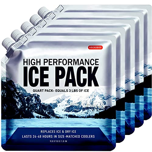 Reusable Ice Packs for Coolers Long Lasting Gel Freezer Packs for Lunch Bags Cooler Backpack Lunch Box for Camping & Picnics & Beach & Road Trips (9.8"x9.8"x5P) - size: Medium-5pk