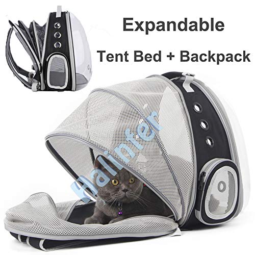 Back Extension Cat Travel Carrier Backpack (Black, Clear Window) - color: Black