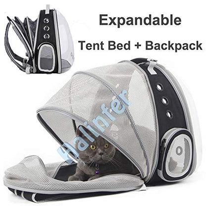Back Extension Cat Travel Carrier Backpack (Black, Clear Window) - color: Black