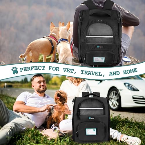PetAmi Dog Backpack Carrier for Small Medium Dogs Large Cats up to 18 lbs, 2 Side Entry, Structured No-Collapse Frame, Airline Approved Ventilated Pet Backpack for Hiking Camping Travel Vet, Black - color: Black