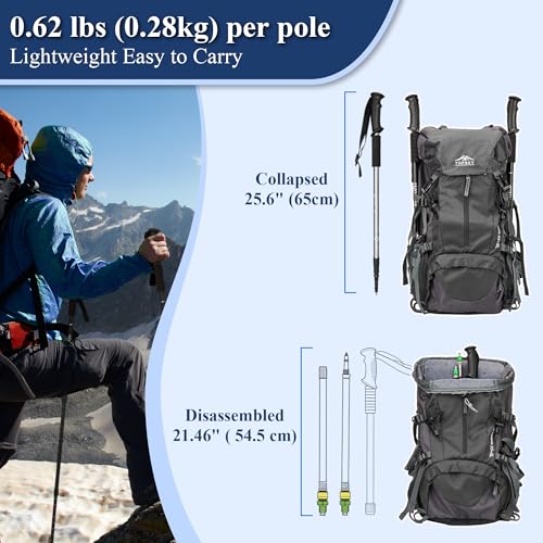 TheFitLife Nordic Walking Trekking Poles - 2 Sticks with Anti-Shock and Quick Lock System, Telescopic, Collapsible, Ultralight for Hiking, Camping, Mountaining, Backpacking, Walking, Trekking - color: Silver