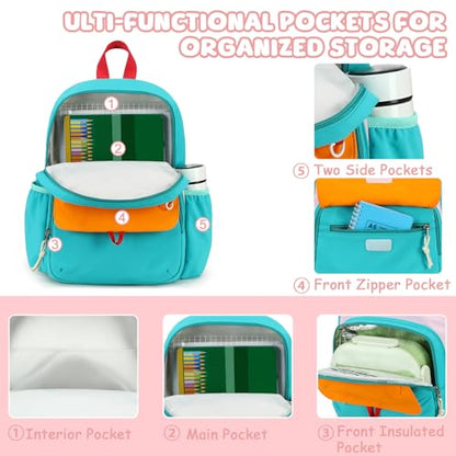 BTOOP Kids Backpack for Boys Girls 3-6, Preschool Kindergarten Backpack with Insulated Lunch Compartment & Chest Strap, Cute Lightweight School Travel Bag Fits A4 Folder - color: Pink-blue, size: Age 3-6 (14.5" H Fit Folder)