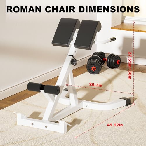 Roman Chair, Multifunctional hyperextension bench for Men & Women, Fitness Chair for Hip, Exceptional for Glute, Core and Lower Back Training,300 lbs Weight Capacity