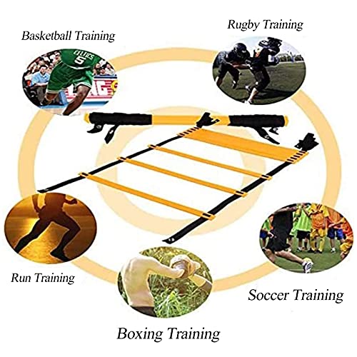 Agility Ladder Agility Ladder, Adjustable Speed Ladder Training Ladder, Sports Fitness Training Set, for Sports Training/Athletic Footwork, with Bag(Size:8M) - size: 8M