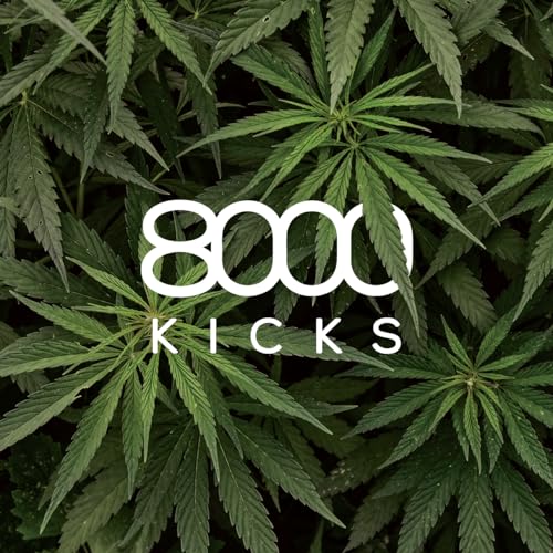 8000Kicks Everyday Hemp Backpack - Lightweight and Weatherproof Backpack for Work and Travel with Anti-theft pocket and Spacious Interior (Black) - color: Black