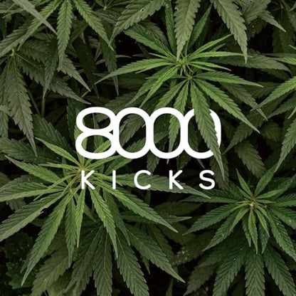 8000Kicks Everyday Hemp Backpack - Lightweight and Weatherproof Backpack for Work and Travel with Anti-theft pocket and Spacious Interior (Black) - color: Black