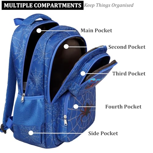 JIANYA School Backpack for Boys and Girls Elementary Children's School Bag Kids Backpack with Lunch Box - color: Letters/ Blue