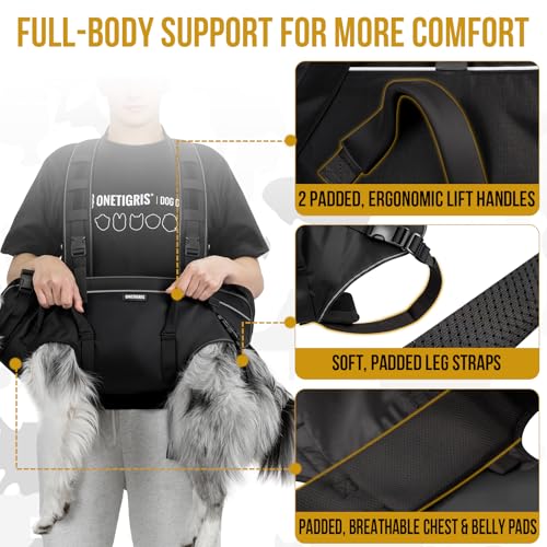 OneTigris Dog Backpack Carrie, Lift Harness with Handle for Large Dogs, Reinforced Padded Dog Sling for Joint Injuries, Arthritis, Ideal for Stairs, Elderly Dogs Fits 30-60 lbs - size: M: Chest 24-32", Back 9.5", Fits 30-60 lbs