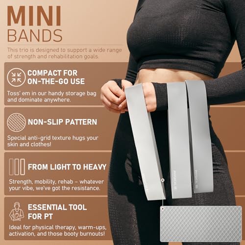 PhysKcal Pilates Kit, 15-Inch Pilates Ring with 1x Core Ball, 3X Resistant Loops and 2X Flex Bands, Home Pilates Equipment Set and Mat Pilates Essential Kit - color: Mist