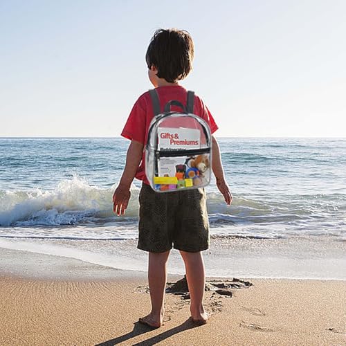Clear Backpack Stadium Approved, Clear Small Backpack