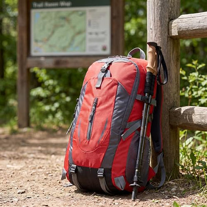 Hiking Backpack, Water Resistant Lightweight Outdoor Daypack with Breathable Padded Back, Multi-Pocket Travel Backpack for Camping Climbing Sports (Red) - color: Red