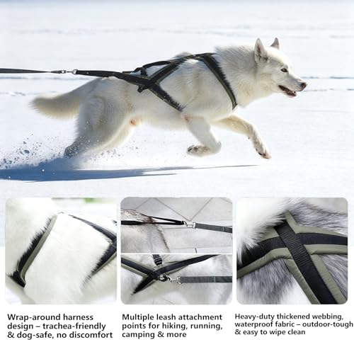 Weight Pulling Dog Harness for Dogs - Dog Pulling Harness for Sled & Running Training (Forest Green,L) - size: L