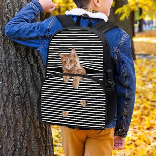 Talayituse Cat Stripe Print School Bags for Kids Girls Boys Backpack with Front Zipper Pocket and Adjustable Shoulder Strap Book Bags Casusal Travel Daypack Middle High School Bookbag - color: Cat Stripe