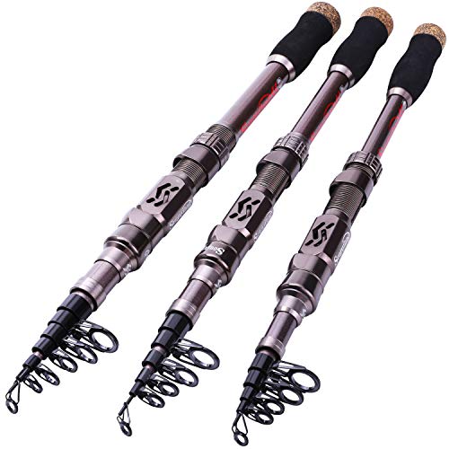 Sougayilang Fishing Rod and Reel Set Carbon Fiber Telescopic Fishing Rod 12+1BB Spinning Reel with Carry Case for Saltwater Freshwater - color: silver, size: 7.87 ft - 3000