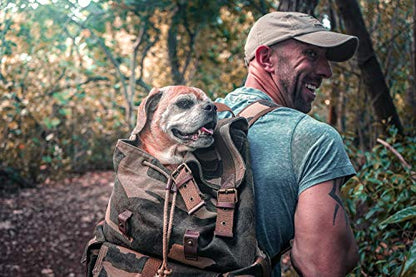 GOOTIUM 21101CAM Specially High Density Thick Canvas Backpack Rucksack (camouflage) - color: Camouflage, size: Large
