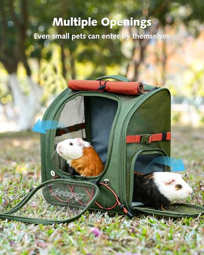 Pecute Small Pet Carrier, Breathable Bearded Dragon Carrier, with Transparent Bubble & Steel Frame, Safety Lock for Hamster, Rabbit, Guinea Pig, Kitten, Puppy, Ideal for Travel/Vet Visits/Camp, Green - color: Green