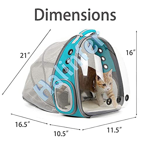 Back Extension Cat Travel Carrier Backpack (Green, Clear Window) - color: Green