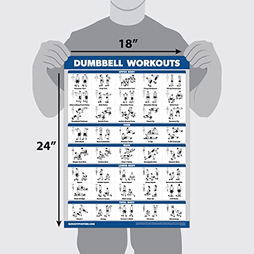 Palace Learning 3 Pack - Dumbbell Workouts + Bodyweight Exercises + Resistance Bands Poster Set - Set of 3 Workout Charts