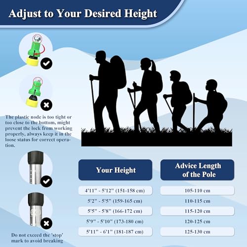 TheFitLife Nordic Walking Trekking Poles - 2 Sticks with Anti-Shock and Quick Lock System, Telescopic, Collapsible, Ultralight for Hiking, Camping, Mountaining, Backpacking, Walking, Trekking - color: Silver