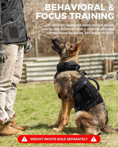 Dog Weight Vest for Exercise, Adjustable Dog Training Vest with Pocketed Design, No Weights Included, Reflective Walking and Conditioning Vest for Medium and Large Dogs, L - size: L