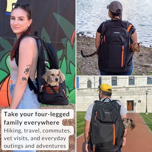 DJANGO Dog Carrier Backpack – Pet Backpack for Small Dogs & Cats with Hip Belt, Laptop Pocket & Water Bottle Sleeve – Travel Dog & Cat Carrier for Hiking, Camping & Commuting (Midnight Black)