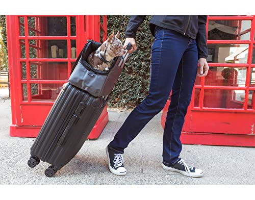 Sleepypod Atom Pet Carrier (First Blush) - color: First Blush