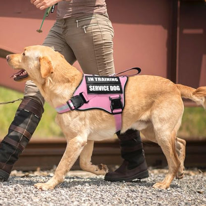 Service Dog Vest Harness and Leash Set+10 Patches,No Pull&Easy Walk Reflective Dog Harness with Soft Padded Handle for Training/Everyday,Fit Small/Medium/Large/Extra-Large Dogs(Pink S) - color: Pink, size: Small