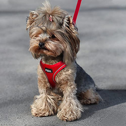 Fida Comfy Dog Harness with Leash, Soft Puppy Vest Escape Proof, Breathable Lightweight Soft Mesh, Adjustable Reflective Step-in Harness for Cat & Extra-Small Pet (XS, Red) - color: Fiery Red, size: XS (Neck:12.2"-13"; Girth:14.2"-16.1")