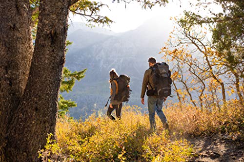 TETON 55L Scout Internal Frame Backpack for Hiking, Camping, Backpacking, Rain Cover Included - color: Tan, size: 55L