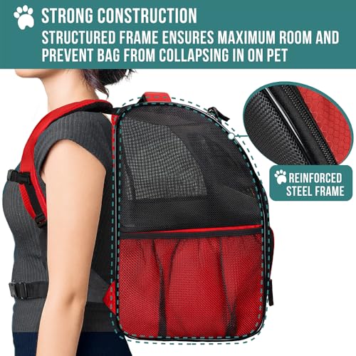 PetAmi Dog Backpack Carrier for Small Medium Dogs Large Cats up to 18 lbs, 2 Side Entry, Structured No-Collapse Frame, Airline Approved Ventilated Pet Backpack for Hiking Camping Travel Vet, Red - color: Red