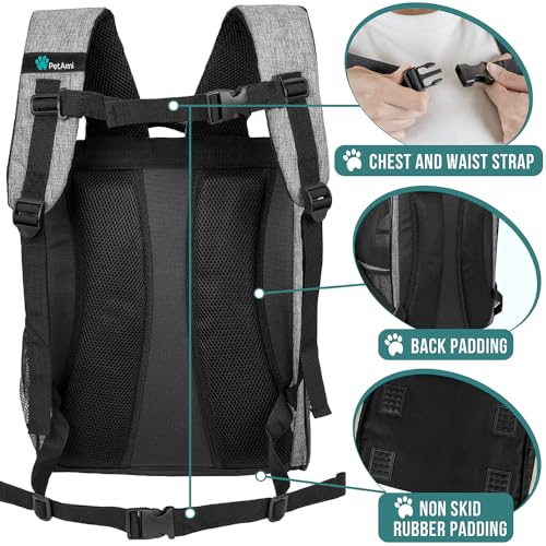 PetAmi Dog Backpack Carrier for Small Medium Dogs Large Cats up to 18 lbs, 2 Side Entry, Structured No-Collapse Frame, Airline Approved Ventilated Pet Backpack for Hiking Camping Travel, Grey - color: Heather Gray