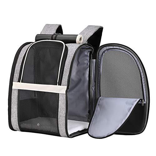 Texsens Pet Carrier Backpack with Window Blind for Small Cats Dogs, Ventilated Design, Safety Straps, Buckle Support, Collapsible, Designed for Travel, Hiking, Winter Outing, Outdoor, Go to Vet - color: Upgraded-Black
