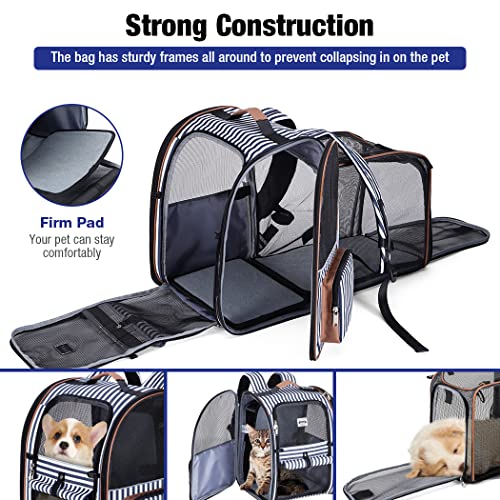 Extra Large Cat Backpack Carrier Expandable Pet Carrier Backpack for Small Dogs Medium Cats Fit Up to 18 Lbs, Dog Backpack Carrier, Foldable Puppy Backpack Carrier for Travel, Hiking,Striped - color: Striped