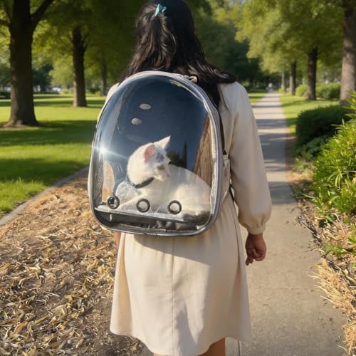 Cat Backpack Carrier, Front Expandable Expandable Bubble Pet Backpack, Ventilated Transparent Capsule Dog Backpack for Small Cats Dogs Birds Bunny, Airline Approved - color: FrontExpand-BK