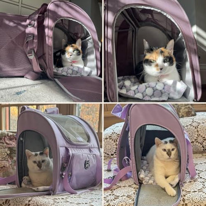 Lollimeow Expandable Large Cat Carrier Backpack, Supports up to 22 lbs - color: Plum, size: 16.5"L x 10.2"W x 15.8"H